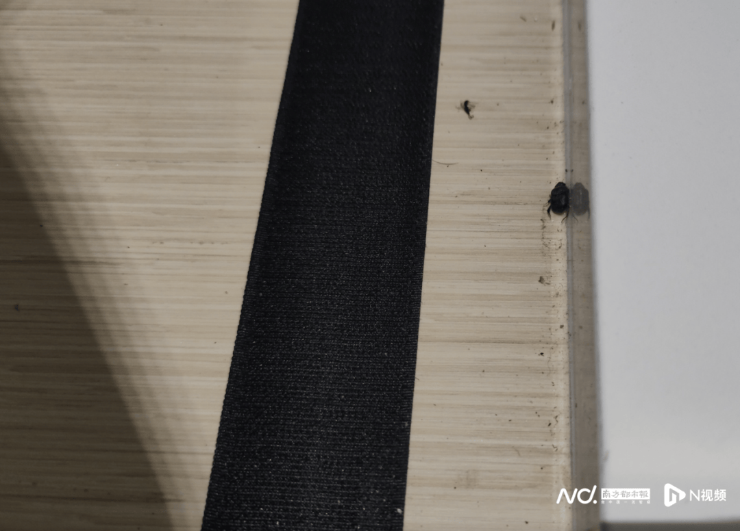 座椅松動(dòng)、護(hù)理臺(tái)發(fā)霉!深圳部分母嬰室管理堪憂<strong></p>
<p>母嬰護(hù)理
</strong>,部門回應(yīng):母嬰護(hù)理